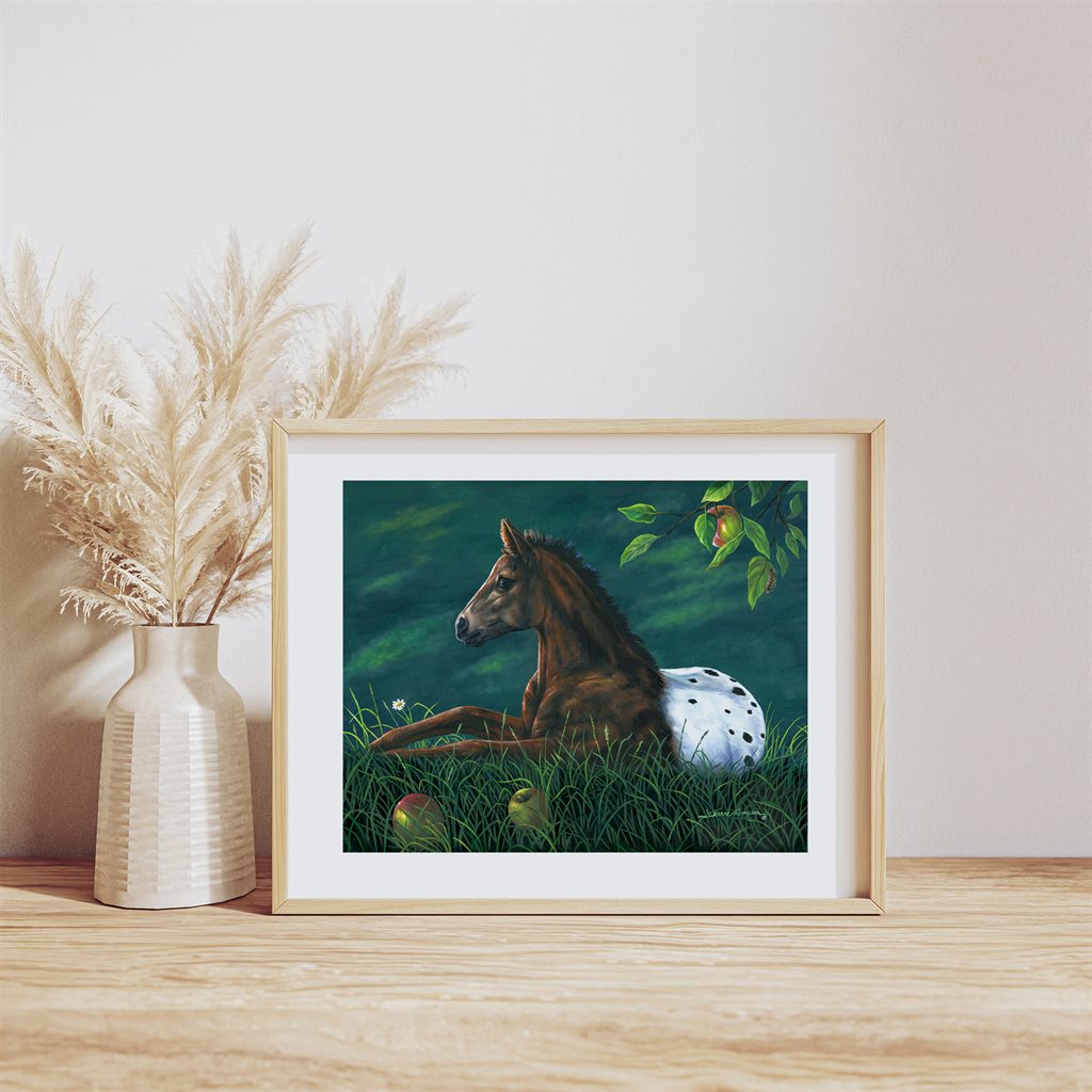 Appleloosa Colt laying down fine art Giclée Paper Art Print in wood frame by Jeanne Warren