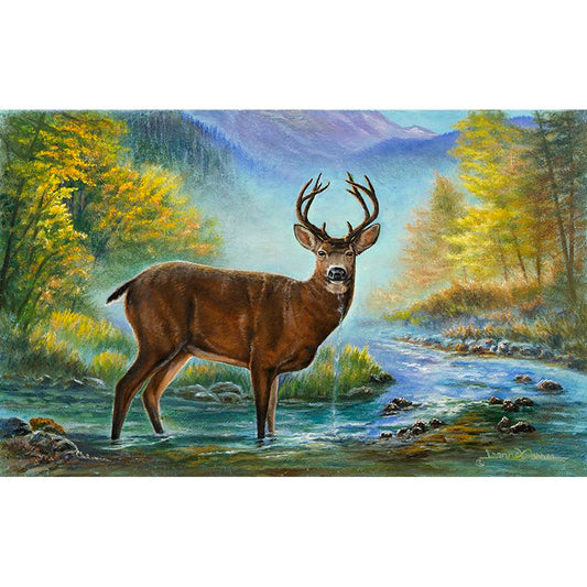 "Awakening" - Black Tail Deer in Autumn Art Print