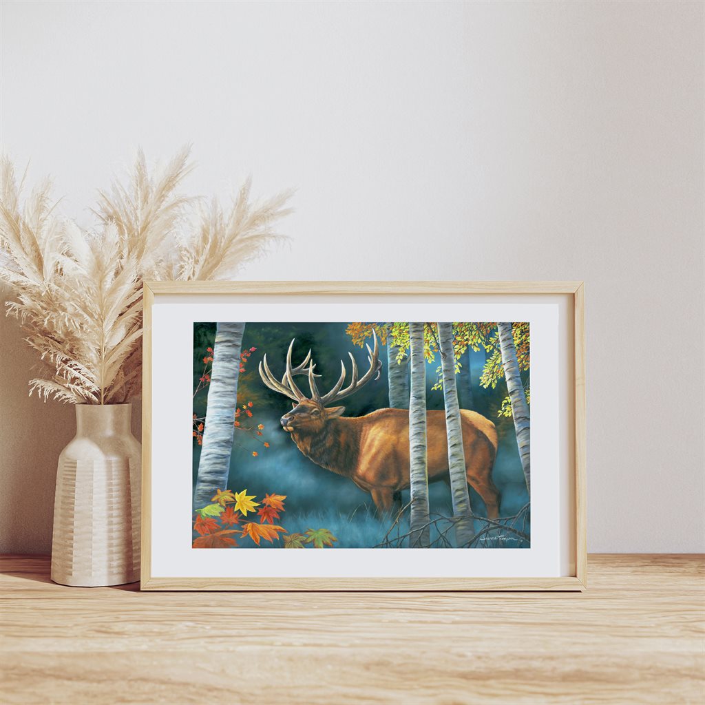 "Bull Elk" - Elk in Autumn Art Print