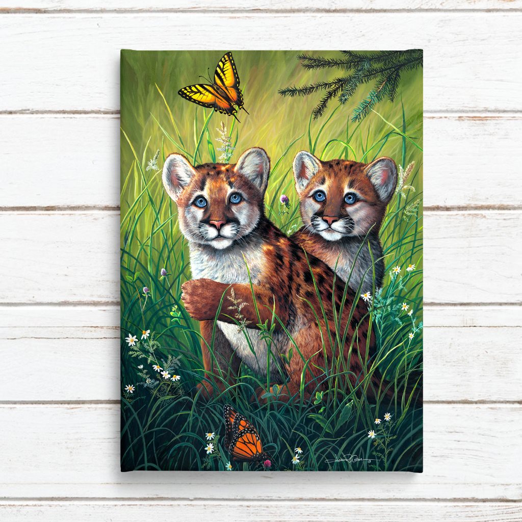 Cougar Cubs in Spring Canvas Print on White Farmhouse Shiplap Wall by Jeanne Warren