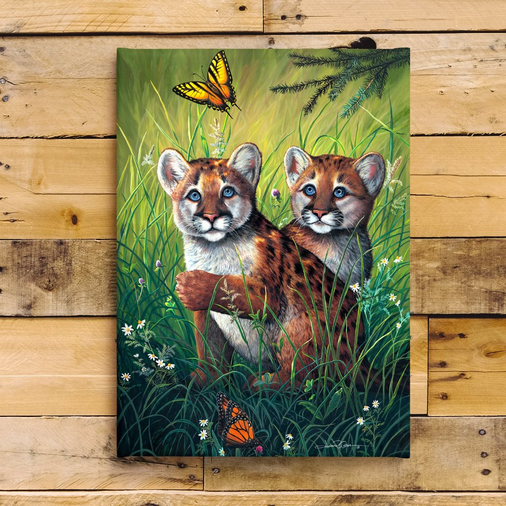 Cougar Cubs in Spring Canvas Print on Wood Farmhouse Shiplap Wall by Jeanne Warren