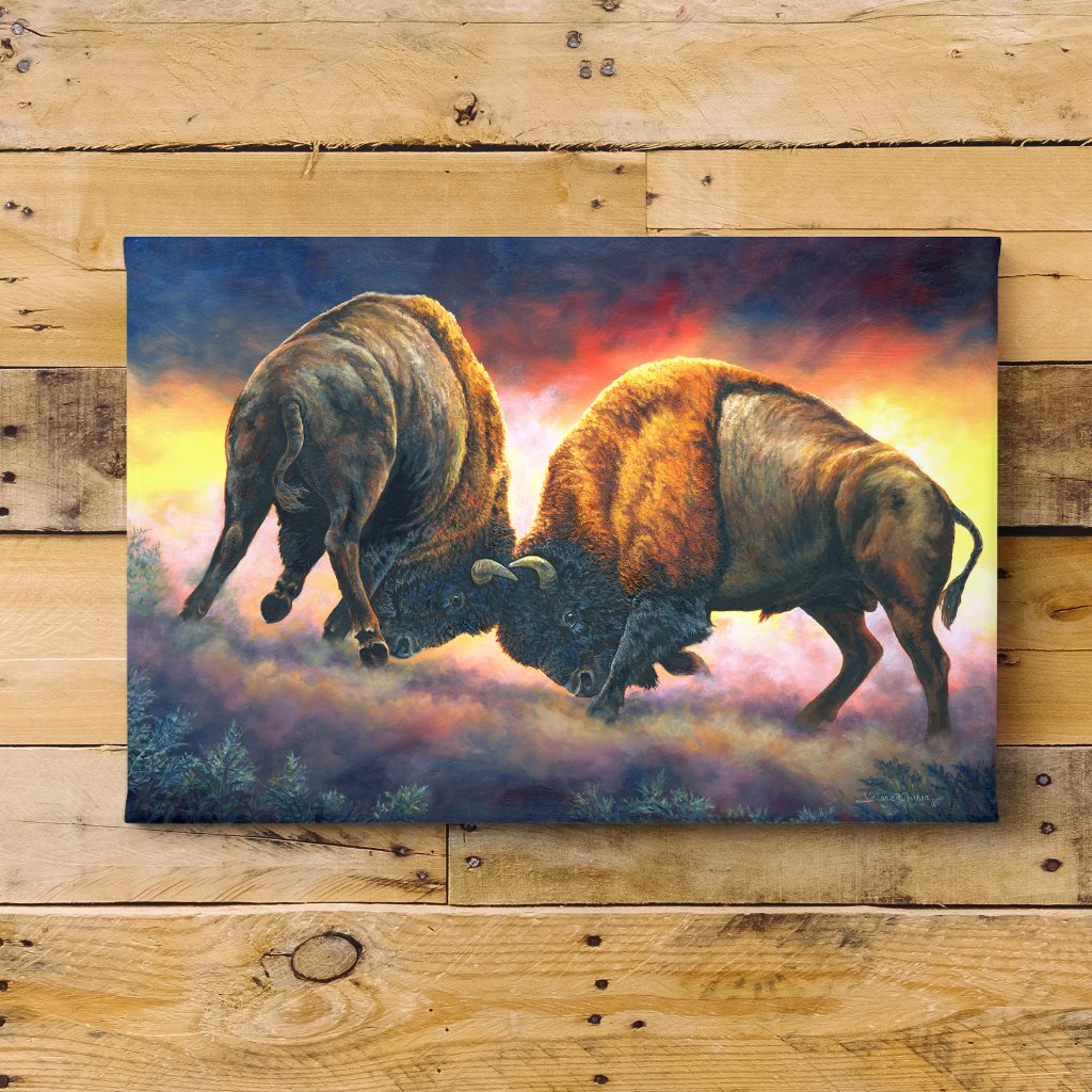 "Courage" - Bison Buffalo Bull Fight Art Print