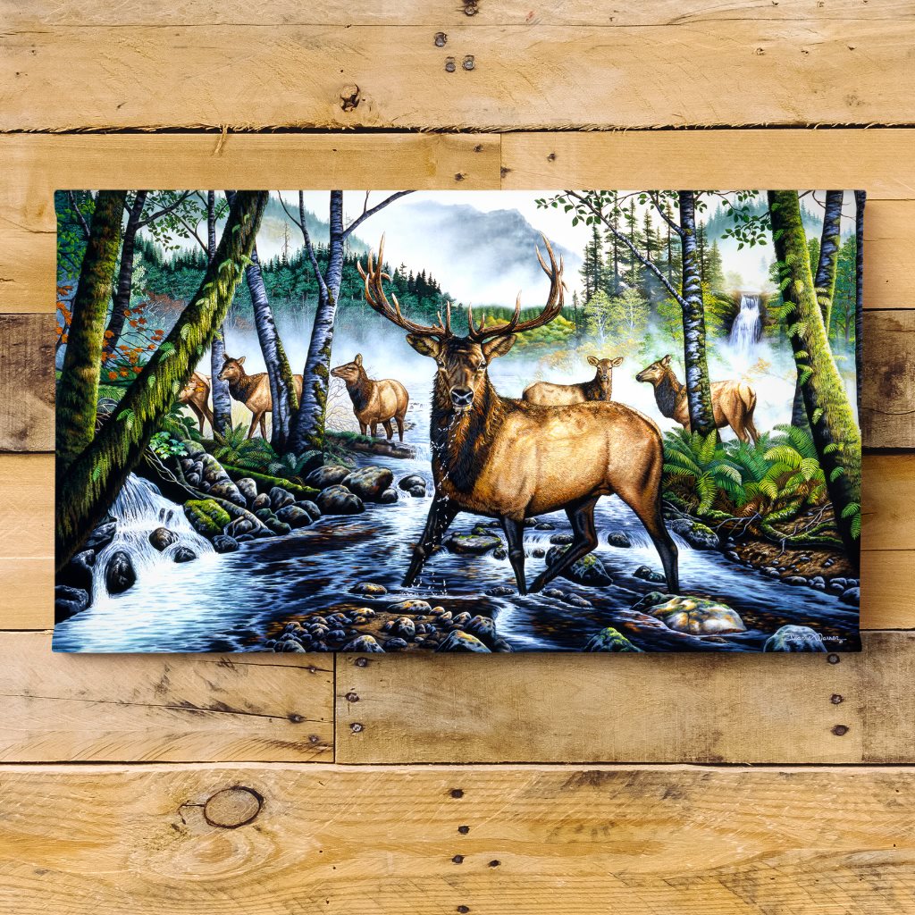Oregon Elk Herd in Forest and Fog Art Print - "Ghost Herd"