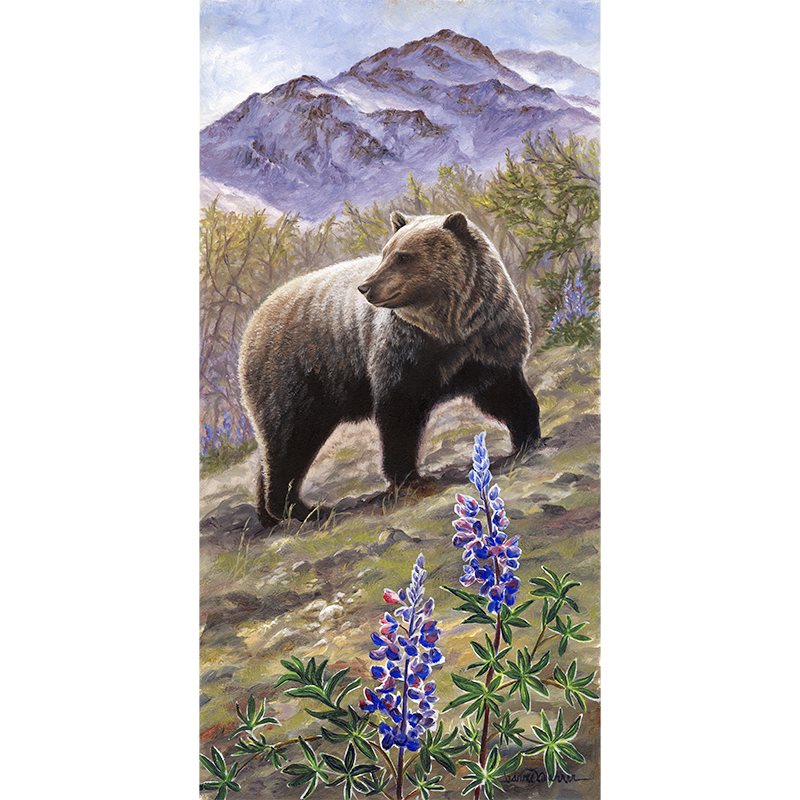 "Grizzly & Lupine" - Grizzly Bear and Purple Flowers Art Print