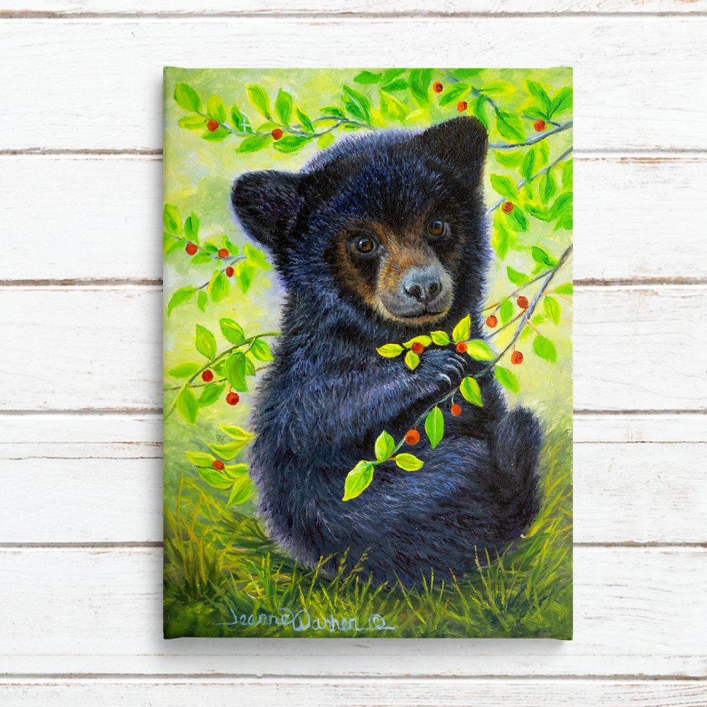 Huckleberry Bear - Black bear cub canvas art print on white shiplap by artist Jeanne Warren