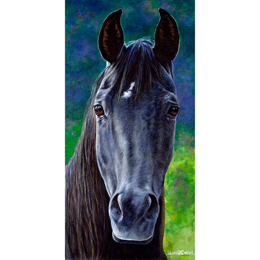 "Maverick" - Black Arabian Stallion Art Print