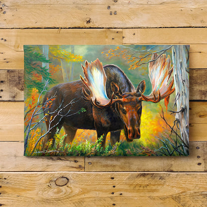 "Moose Watching" - Bull Moose in Velvet Art Print