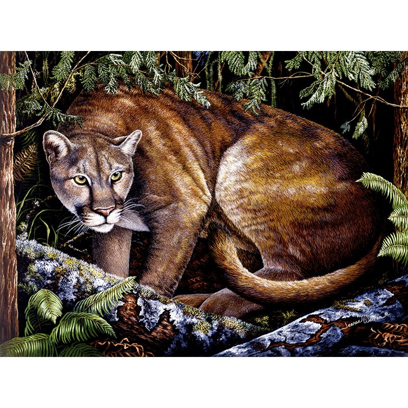 Mountain Lion Art Print - "Golden Eyes"