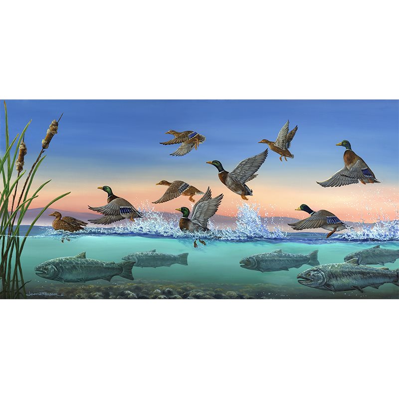 Mallard Ducks and Chinook Salmon Art Print - "Salmon Runway"