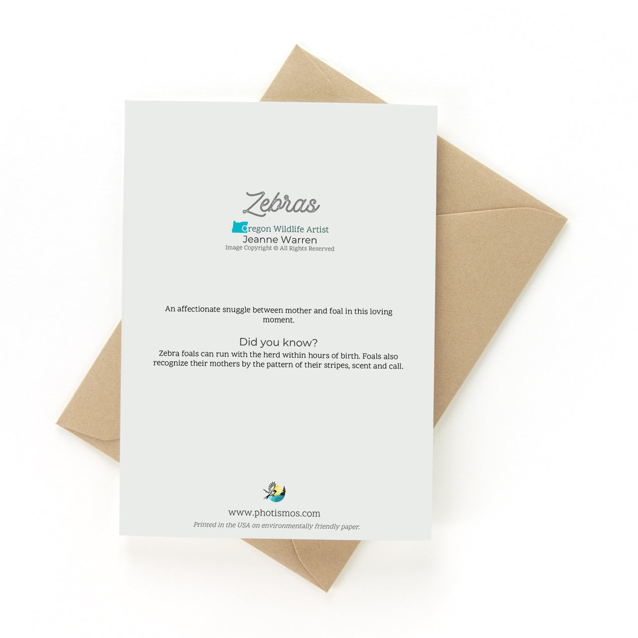 "Zebras" - Baby Zebra Art Greeting Card