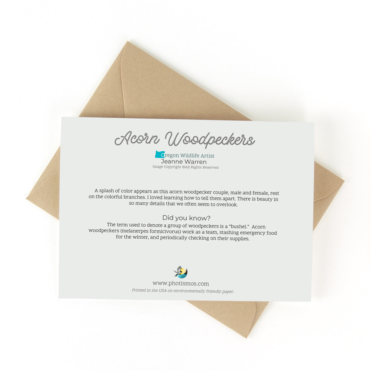 Acorn Woodpeckers greeting card with product information and kraft envelope on white background