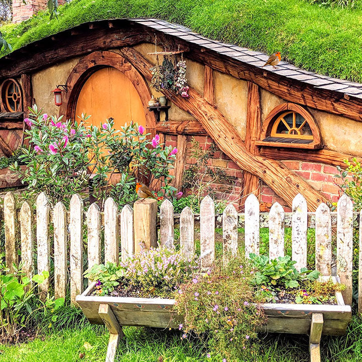 7 Ideas for a Wildlife Friendly Yard that’ll prove your Genius