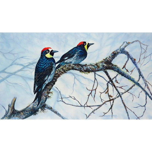Acorn Woodpeckers Art Print depicting two woodpeckers with vibrant red heads and blue-black feathers perched on a moss-covered winter oak branch against a misty blue sky background, showcasing their natural habitat and characteristic markings.