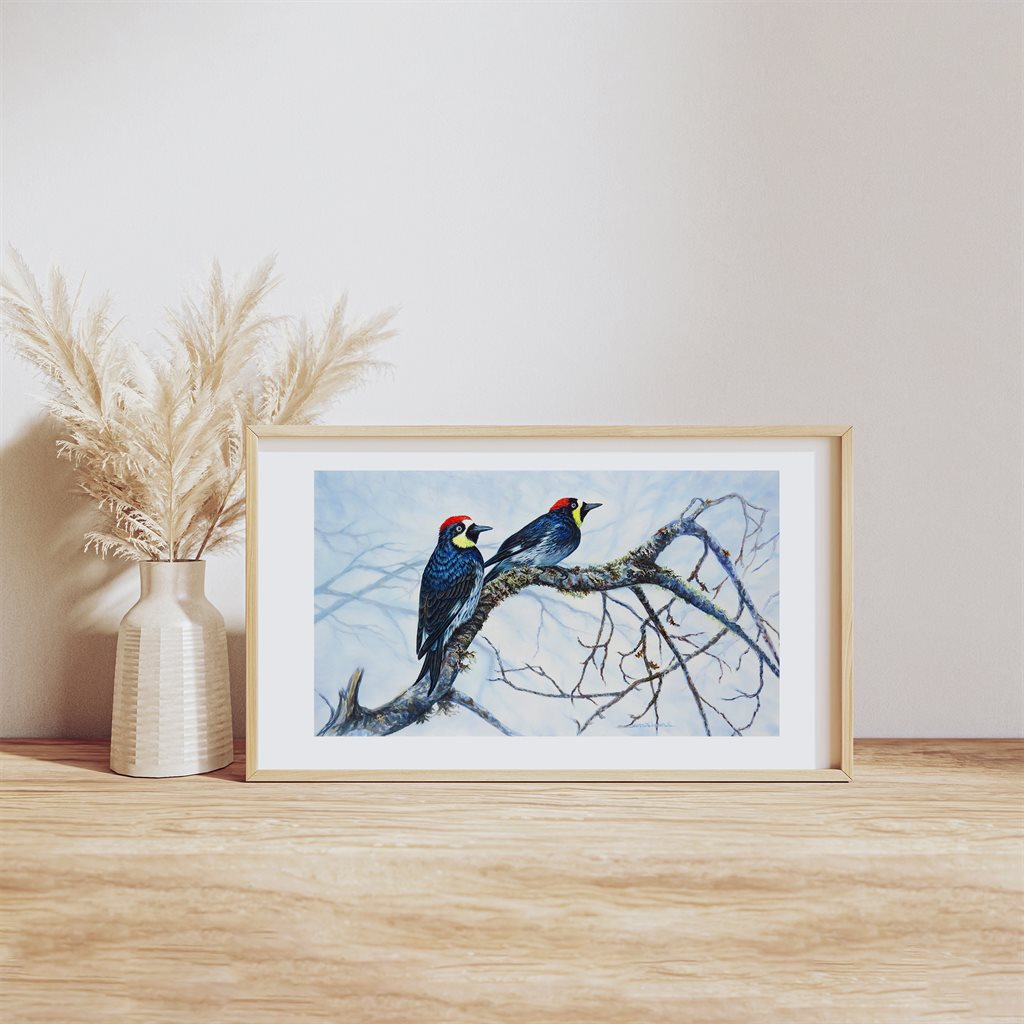 Acorn Woodpeckers Art Print features a framed watercolor painting of two woodpeckers perched on a winter oak branch, displayed on a wooden surface beside a cream vase with pampas grass. The artwork showcases the birds against a misty blue background.