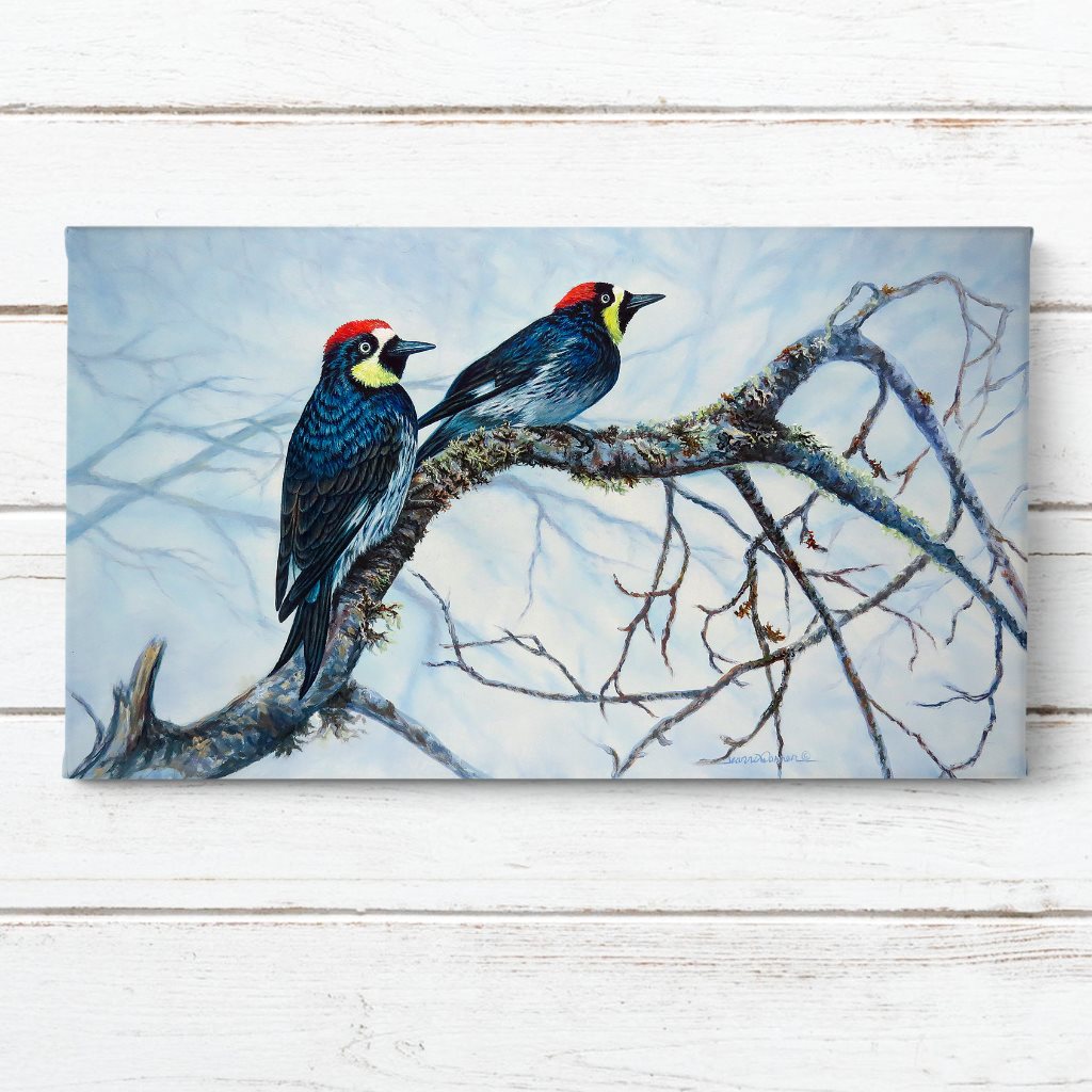 "Acorn Woodpeckers" - Art Print