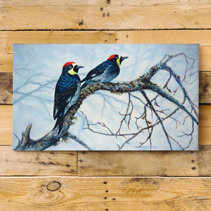 Acorn Woodpeckers art print showing two woodpeckers with distinctive red caps and blue-black plumage perched on a moss-covered winter oak branch against a misty blue sky background, capturing their natural habitat and behavior in detailed wildlife illustration.