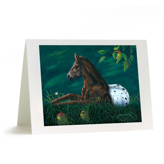 Apple Loosa greeting card featuring spotted Appaloosa colt resting under apple tree with fallen fruit and daisy in grass