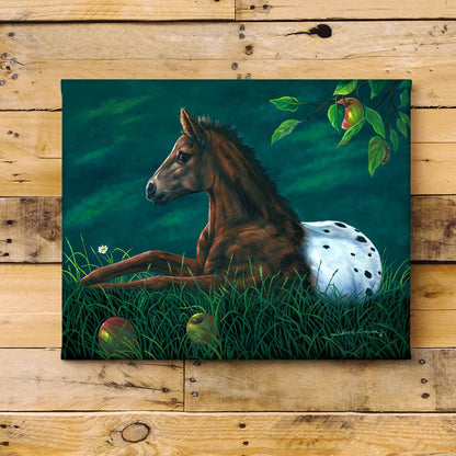 Appaloosa horse under an apple tree canvas print on a wood shiplap wall