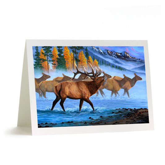 Rocky Mountain Bull Elk and Herd Art Card - "Aspen Elk"