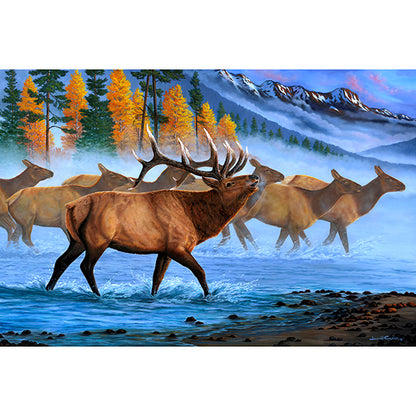 Rocky Mountain Bull Elk and Herd Art Print - "Aspen Elk"