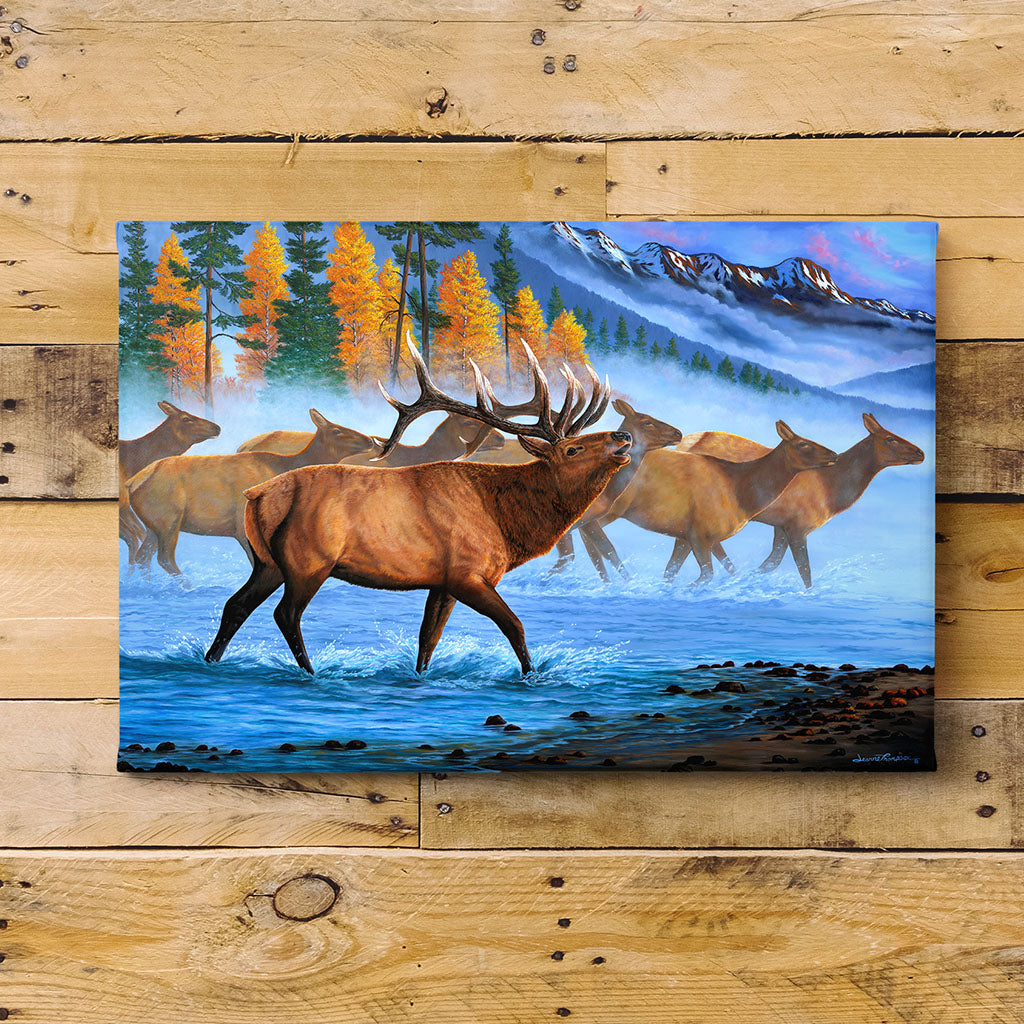 Rocky Mountain Bull Elk and Herd Art Print - "Aspen Elk"
