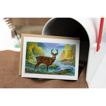 "Awakening" - Black Tail Deer Art Greeting Card