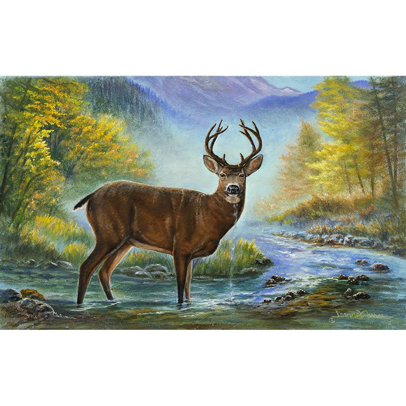"Awakening" - Black Tail Deer in Autumn Art Print