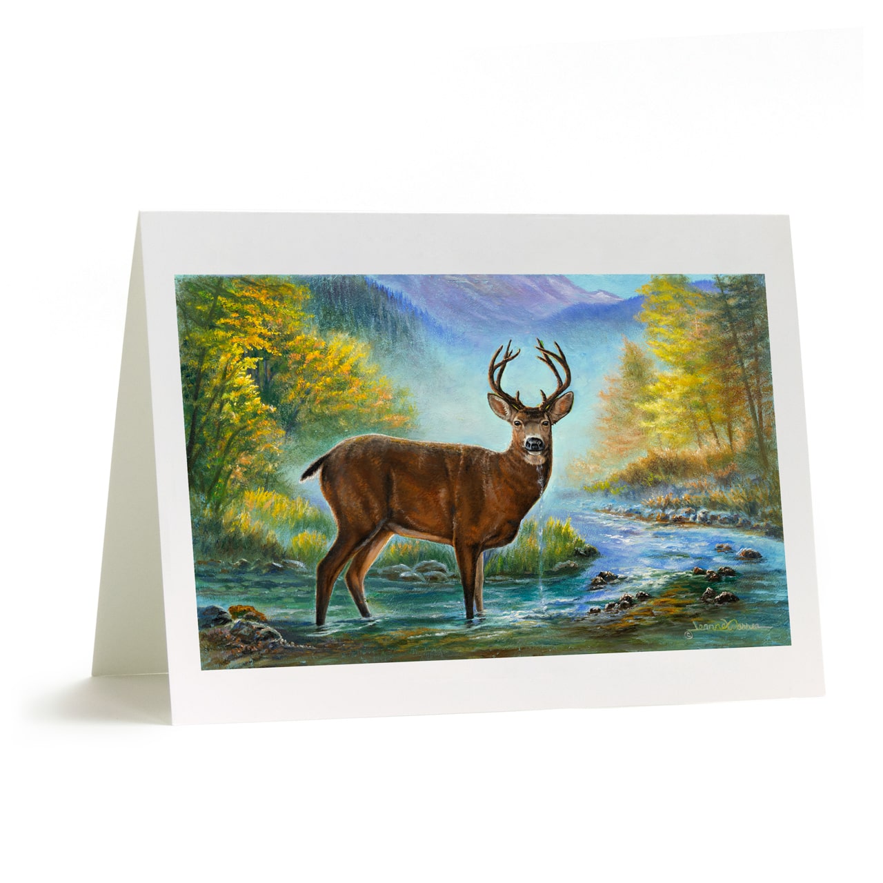 "Awakening" - Black Tail Deer Art Greeting Card