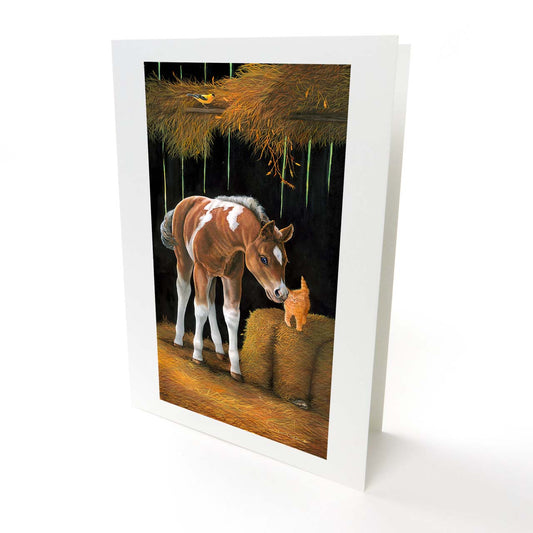"Barn Buddies" - Baby Horse Colt and Kitten Art Greeting Card