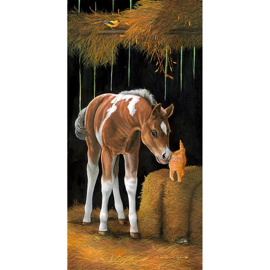 "Barn Buddies" - Baby Horse Colt and Kitten Art Print