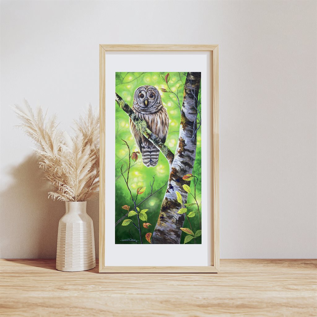 Barred Owl Bird of Prey giclée fine art wildlife paper print in wood frame by Jeanne Warren