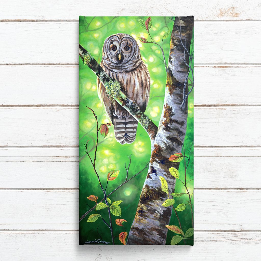 "Barred Owl" - Bird of Prey Art Print