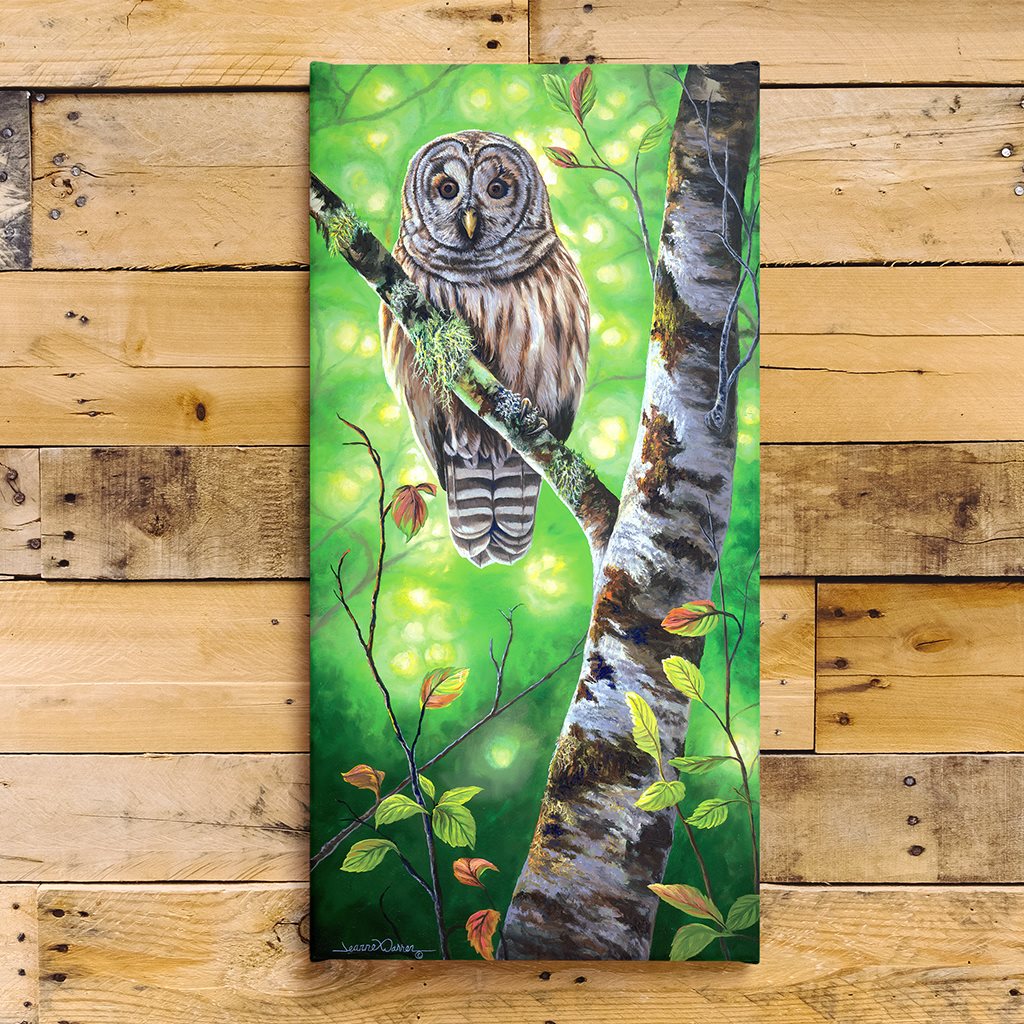 "Barred Owl" - Bird of Prey Art Print