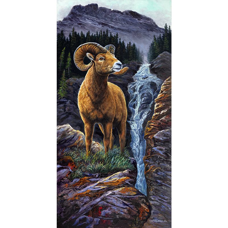 Big Horn Sheep Art Print | by Jeanne Warren