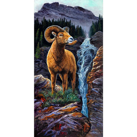 Big Horn Sheep Art Print | by Jeanne Warren