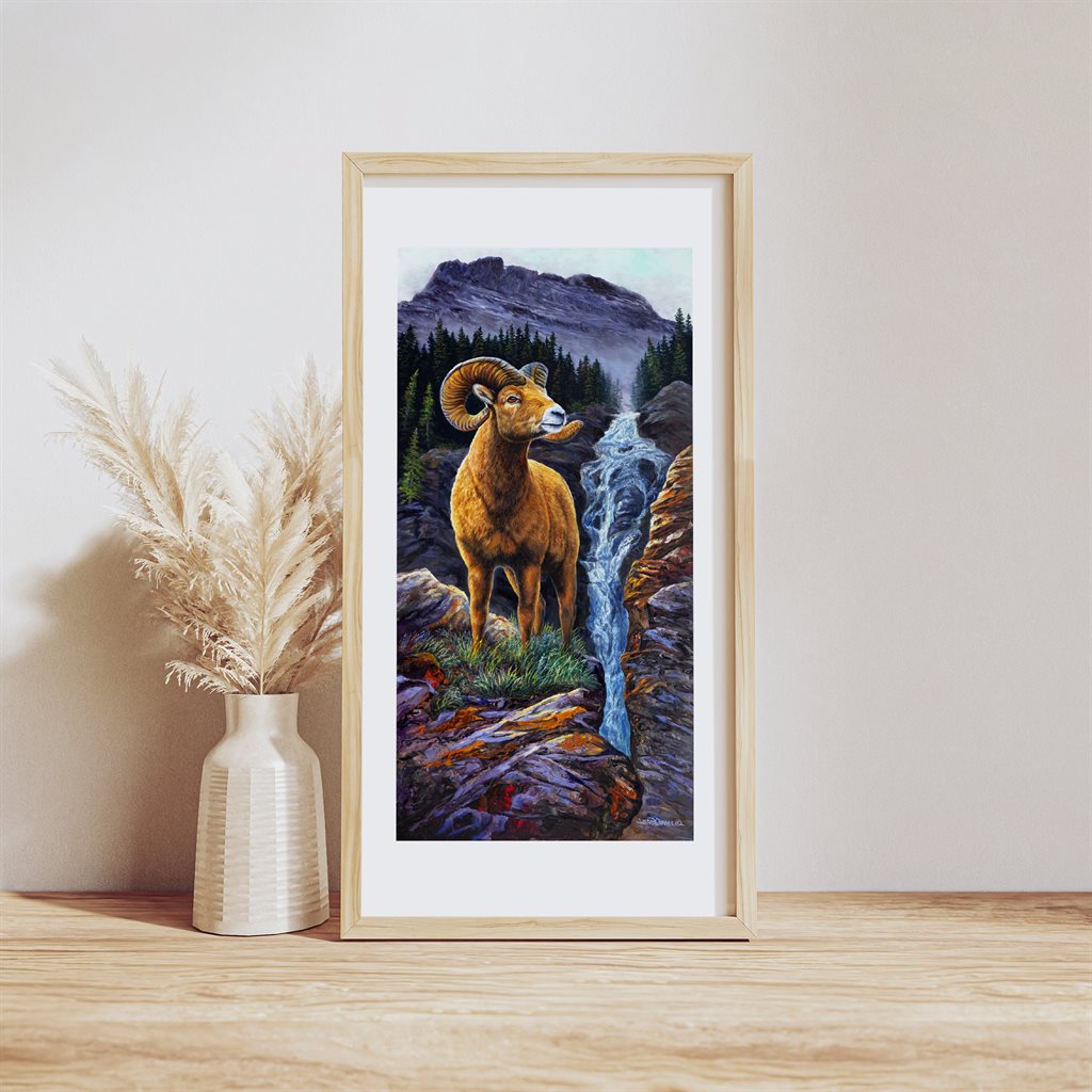 Big Horn Sheep Art Print | by Jeanne Warren