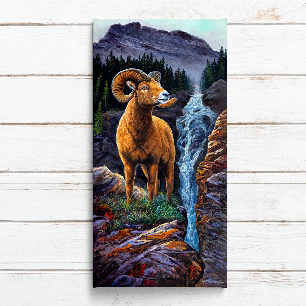 Big Horn Sheep Art Print | by Jeanne Warren