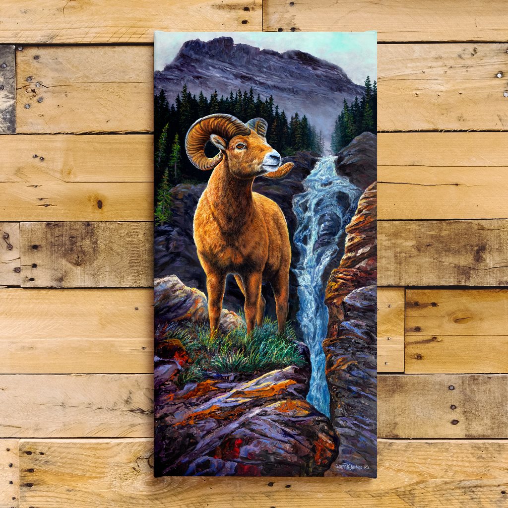 Big Horn Sheep Art Print | by Jeanne Warren