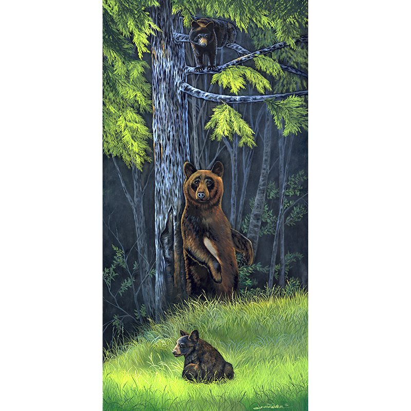 "Black Bears" - Back Scratch and Cubs Climbing Art Print