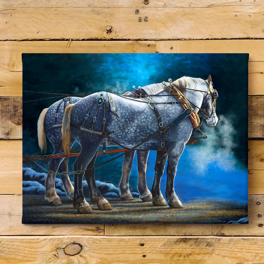 "Break Time" - Winter Draft Horses Percheron Art Print