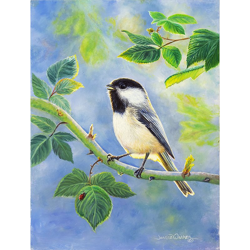 "Bright Morning Song" - Black-Capped Chickadee Art Print