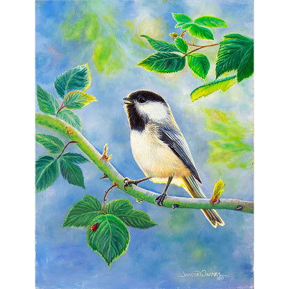 "Bright Morning Song" - Black-Capped Chickadee Art Print