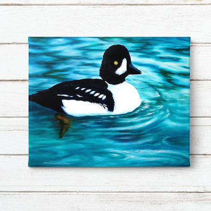 Buffled Duck in rich blue water Canvas Art Print on White Farmhouse Shiplap