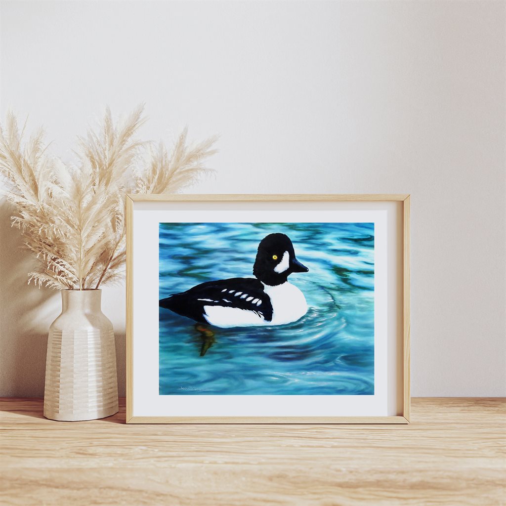 Female Bufflehead Duck Giclée Paper ArtPrint in teal water by Jeanne Warren