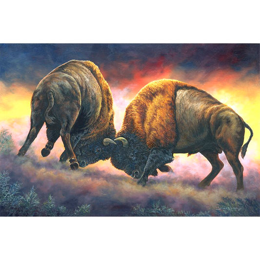 "Courage" - Bison Buffalo Bull Fight Art Print
