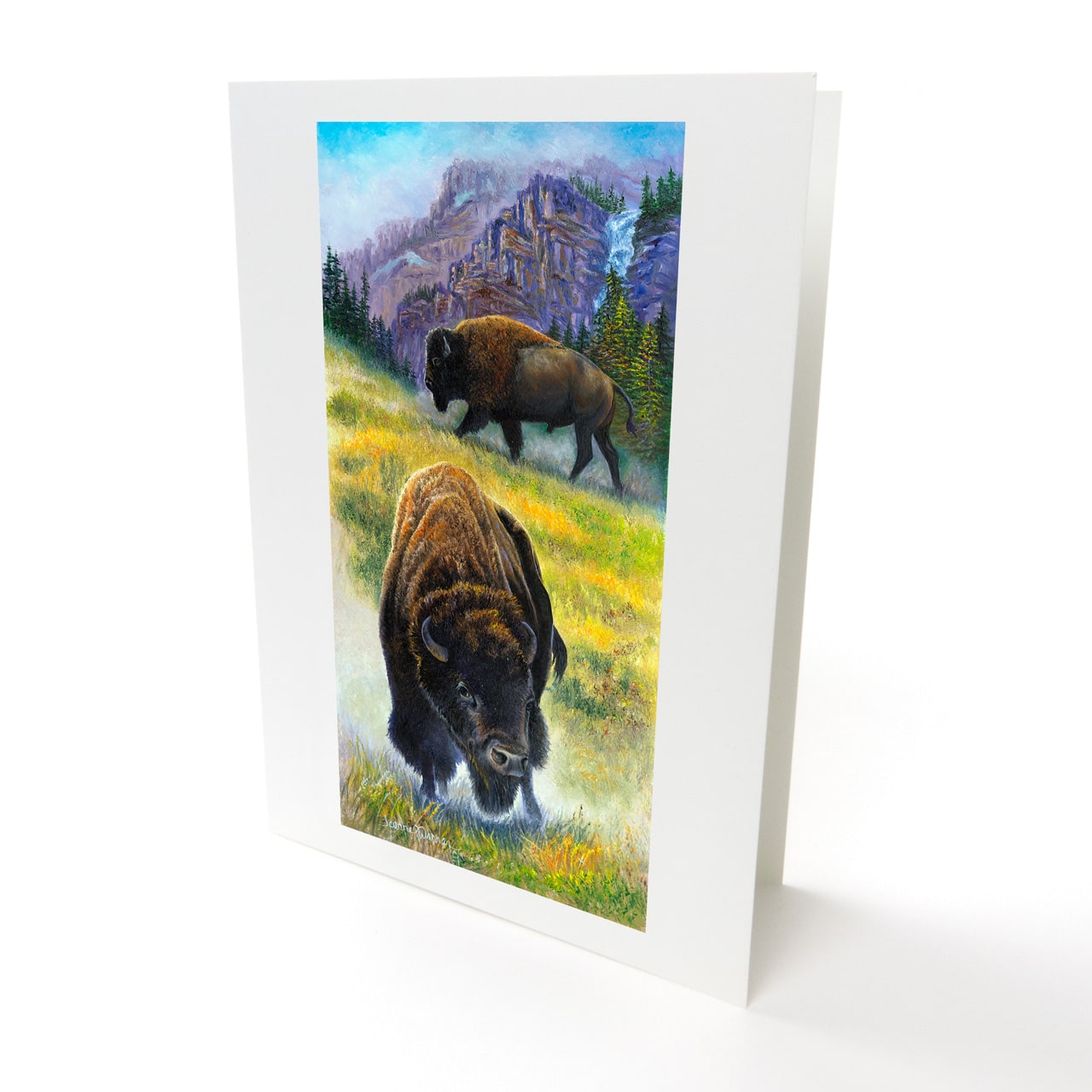 Bison Buffalo and Montana Mountains Art Card - "Double Threat"