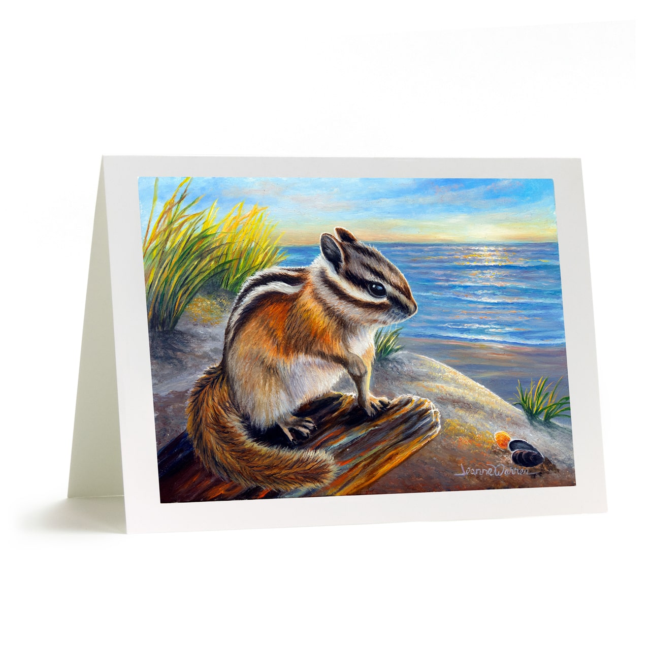 "Dreamin" - Chipmunk and Beach Art Greeting Card