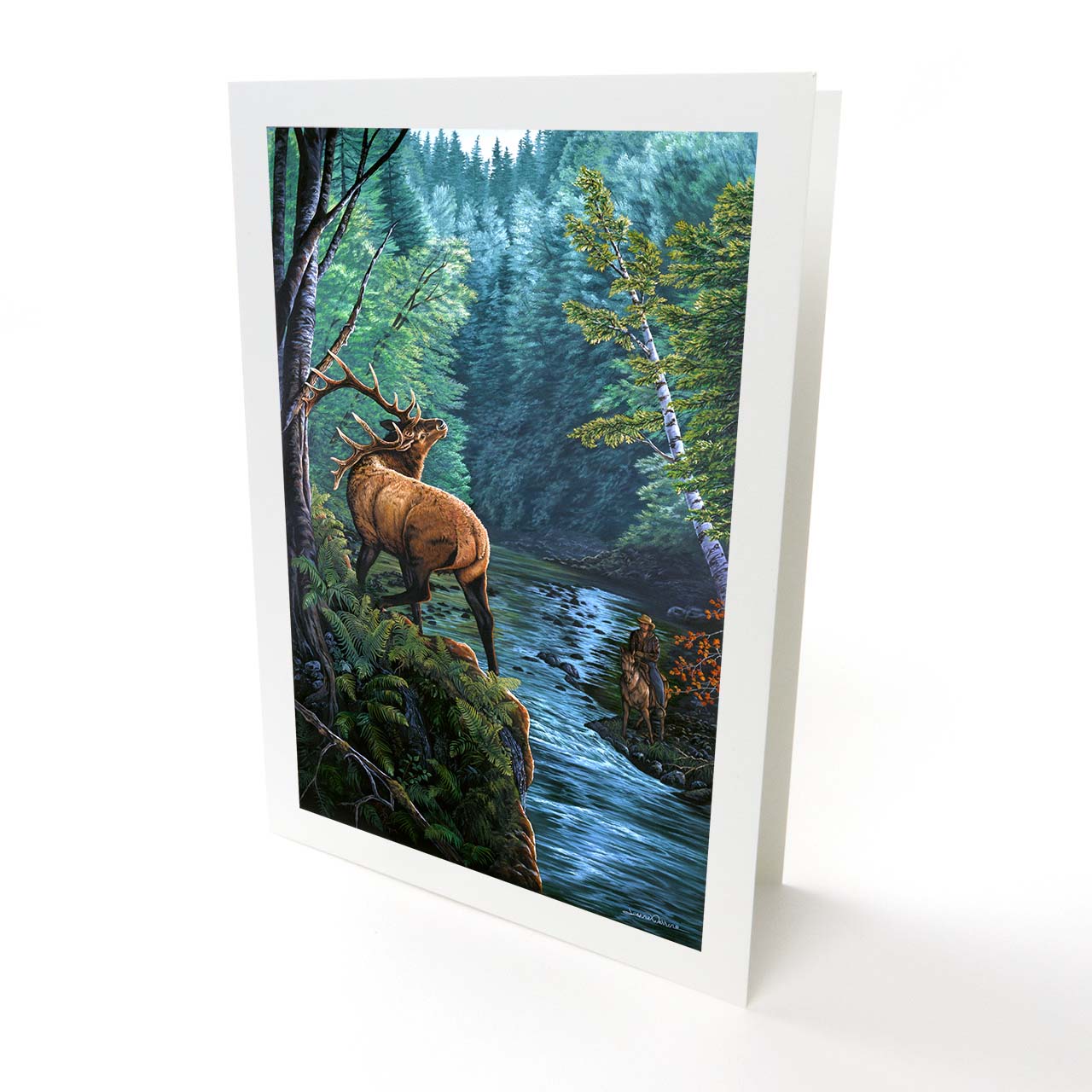 Roosevelt Bull Elk and Hunter Art Greeting Card - "Edge Elk"