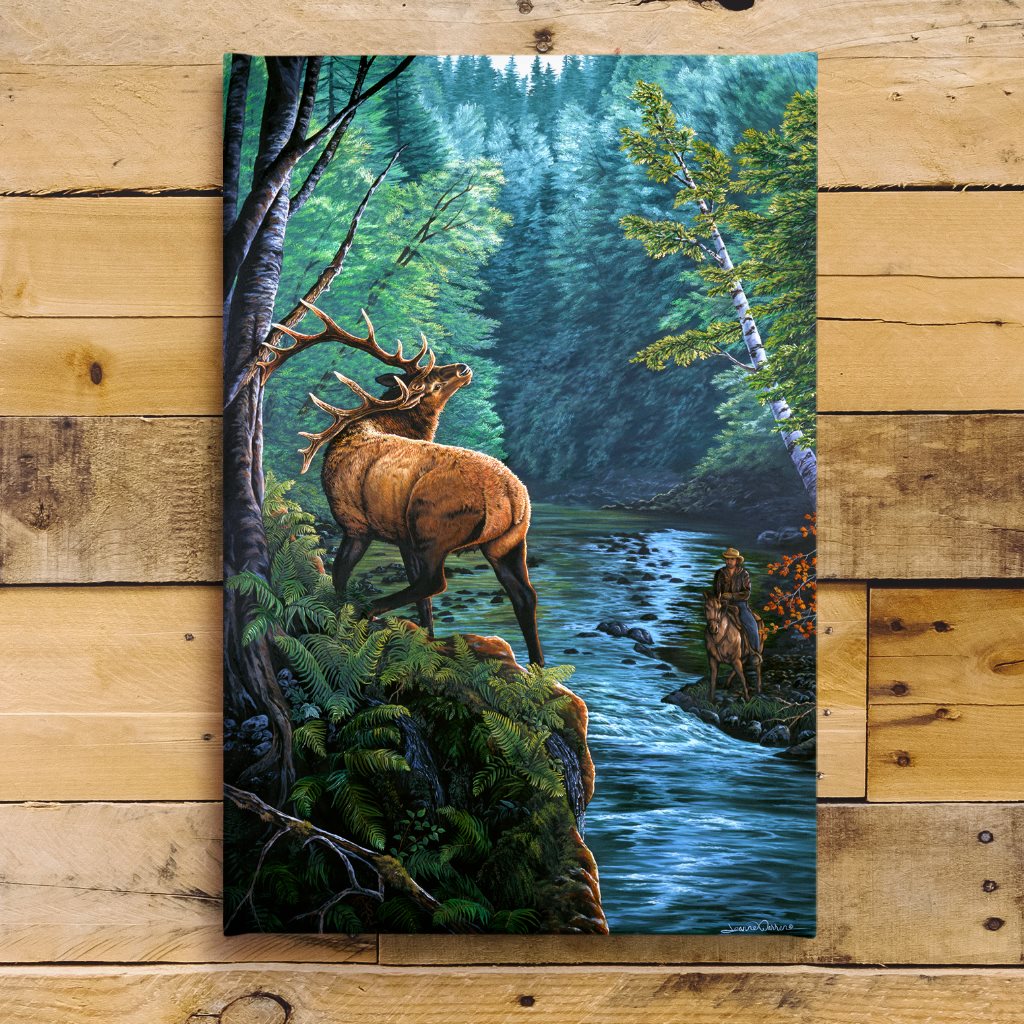 Roosevelt Bull Elk and Hunter Art Print - "Edge Elk"