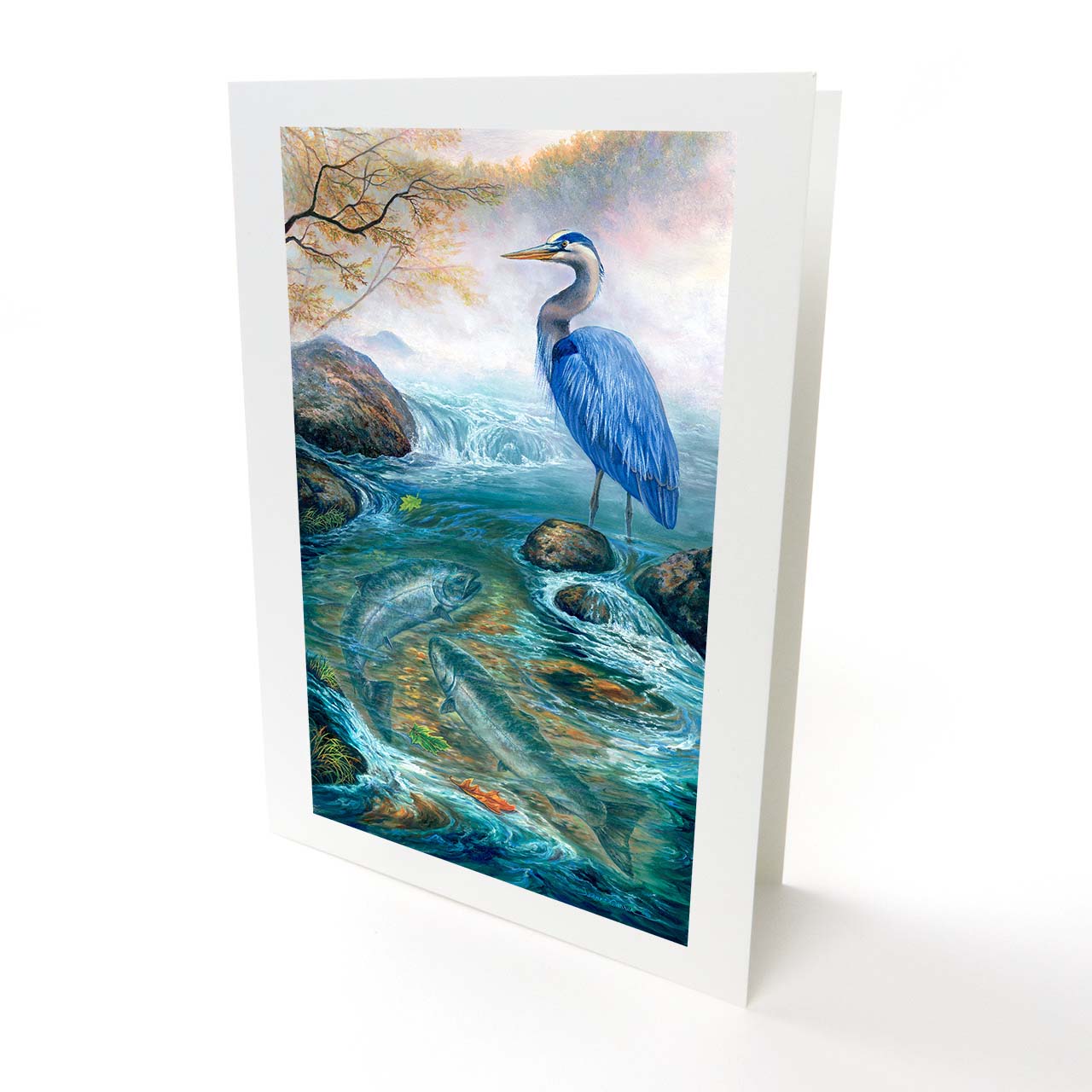 "Fat Chance" - Great Blue Heron and Salmon Art Card